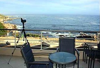 WHALE COVE A104 APARTMENT