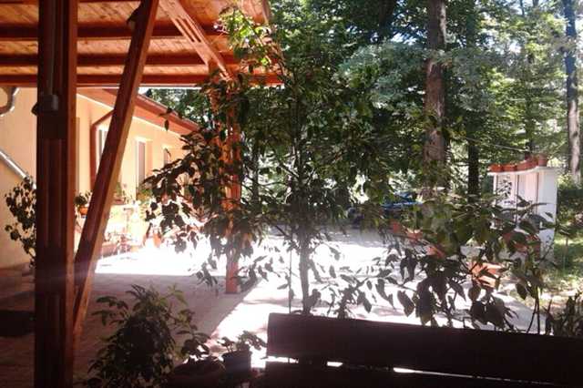 Forest Mirage Hostel