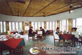 Eden Jungle Resort Hotel